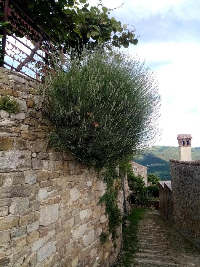 Rooms Serafin-Lavanda Motovun Exterior photo