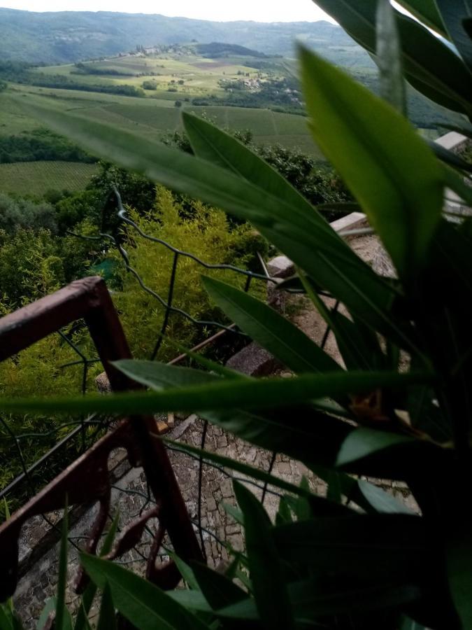 Rooms Serafin-Lavanda Motovun Exterior photo